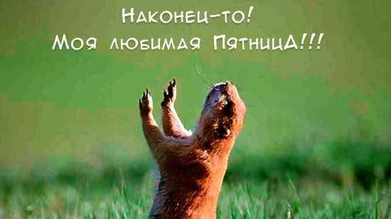 Еду на работу/новости.погода.гороскоп и просто трёп от Алисы... смотреть онлайн