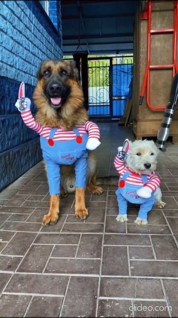 У нас на районе …