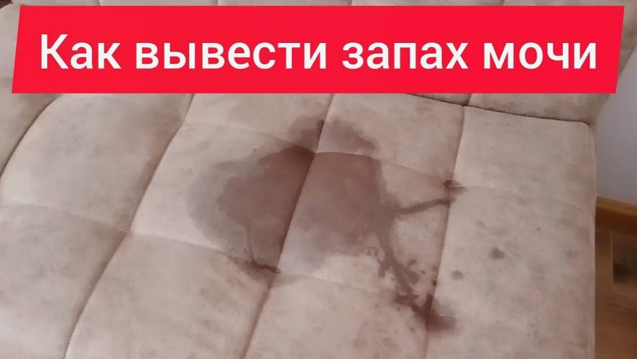 Многие и не знают, что от запаха мочи избавиться так просто смотреть онлайн