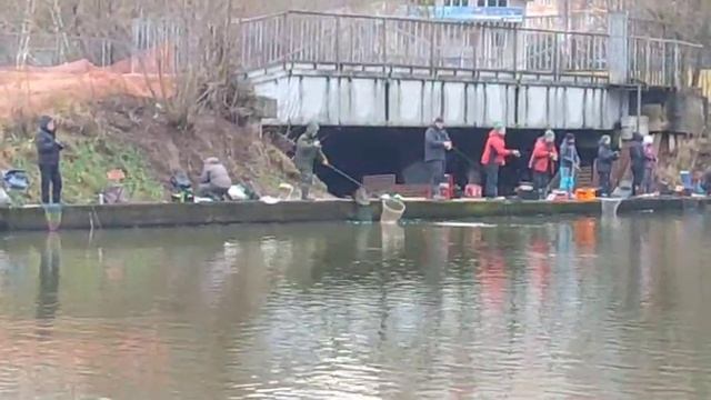 Спорт зона смотреть онлайн