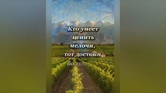 Мудрые советы для жизни. смотреть онлайн