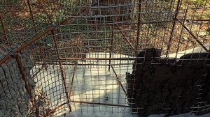 Строительство зоны отдыха. Продолжение.