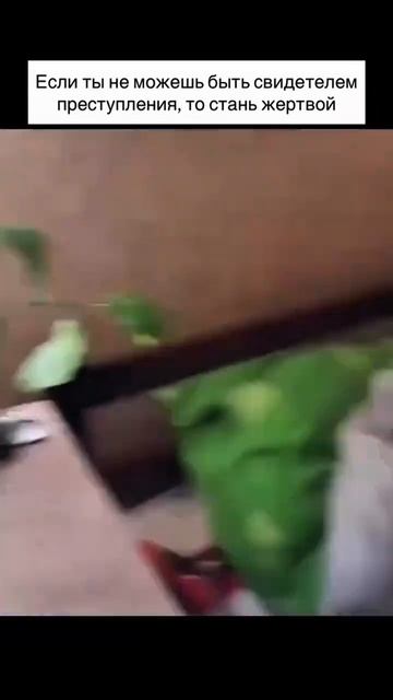 Умный однако кот 😹🥰😍 смотреть онлайн