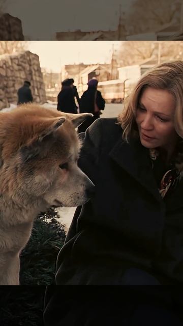 У него умер хозяин , он прождал его 9 лет на одном месте смотреть онлайн