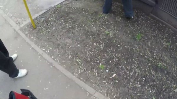 GRAFFITI day with Bober