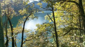 Абхазия. г.Гагра. Продолжение следует. Поездка на Озеро Рица.  Музыка Звуки природы - Пение птиц..