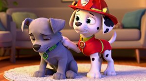 ❤️ Песенка клип про дружбу Рокки и Маршал ❤️ Щенячий патруль