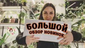 БОЛЬШОЙ ОБЗОР НОВИНОК: Смогла ли я придерживаться списка? (Нет) #обзор #растения #коллекция #новинки