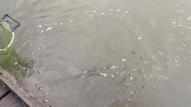 Вип зона. смотреть онлайн