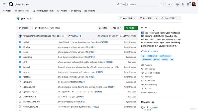 162 Installing the Gin Framework смотреть онлайн