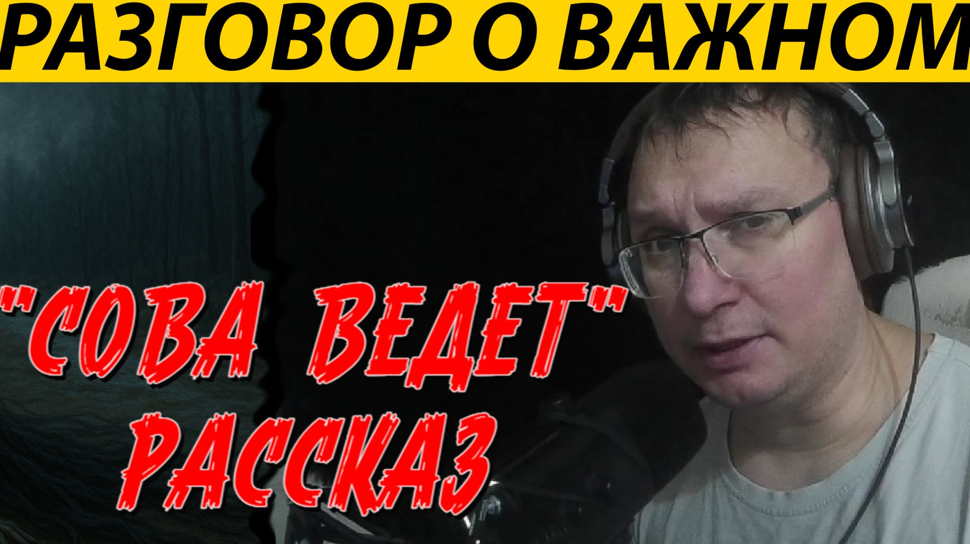 НУЖНА ВАША ПОМОЩЬ! АВТОР СТРАШНЫХ ИСТОРИЙ СОВА (ВЕДЕТ) смотреть онлайн