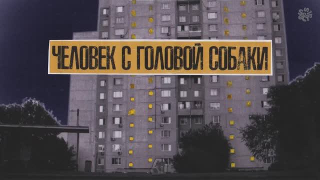 Сергей Орлов - Человек с головой собаки (стендап концерт, 2023) смотреть онлайн