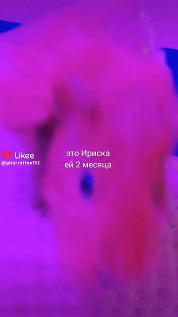 ой видео из лк смотреть онлайн