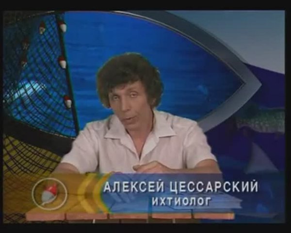 Чем отличаются закрытопузырные Лучепёрые рыбы из класса Actinopterygii от открытопузырных ?