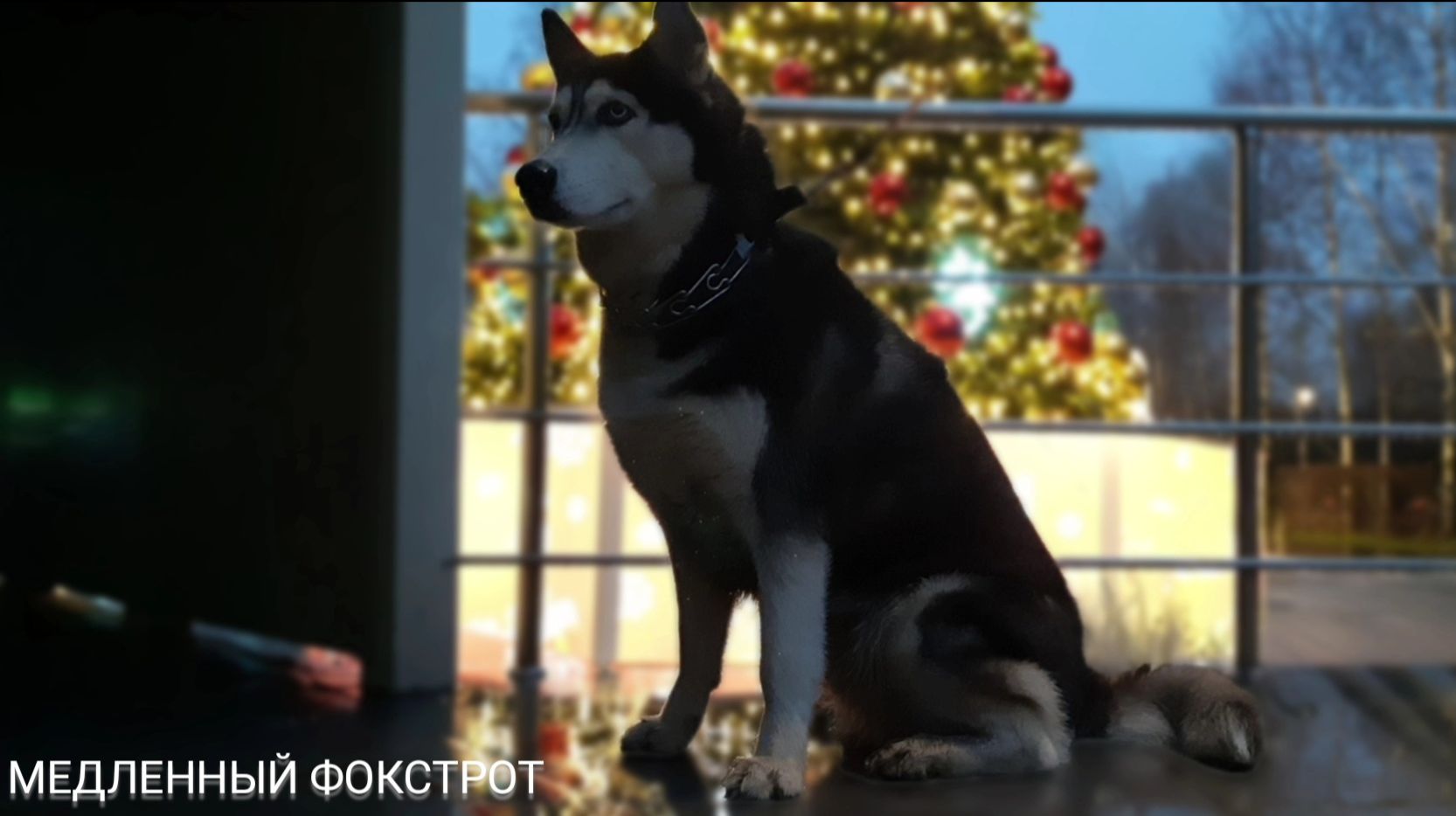 Предмет — аранжировка | 3 курс | Музыкальное звукооператорское мастерство