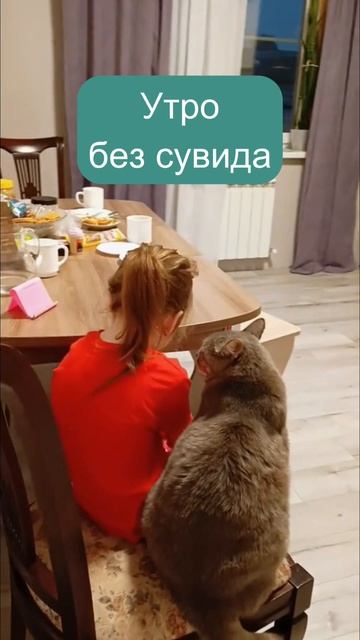 Доброе утро пятницы. Если оно доброе. 🔥🎉😅
#комедия #кулинария #смех #шефстепанов #заготовки #юмор смотреть онлайн