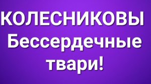 Колесниковы/Обзор.