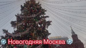 Новогодняя Москва. Что нас удивило