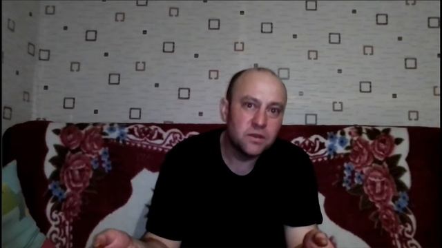 Почему не несутся куры? Птицеводство в домашних условиях глазами ветврача.