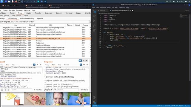 04. Lab 3 - Source code disclosure via backup files смотреть онлайн