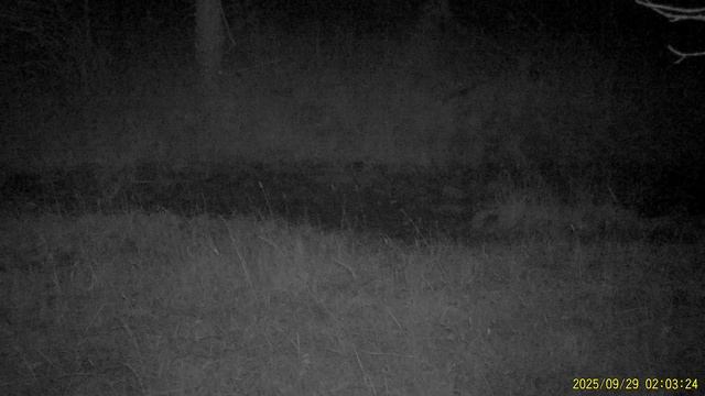 Барсук. ГПЗ «Ялтинский горно-лесной». смотреть онлайн