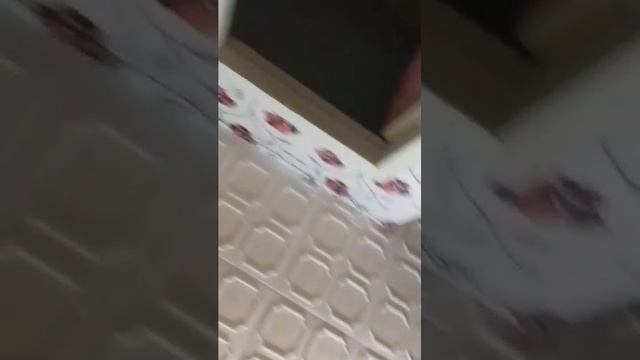 Ребята тут такое смотреть онлайн