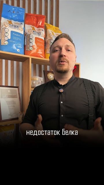 Почему у молодой собаки хрустят суставы - когда это нормально и что делать #хрустятсуставысобаки