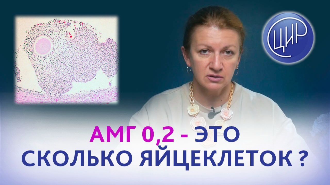 Антимюллеров 0,2 - это сколько яйцеклеток?
