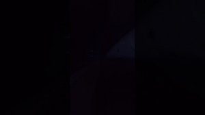 сплю трансляция на всю ночь 💋