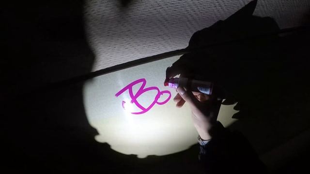 Graffiti Day With Bober