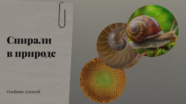 Геометрия природы. Спираль