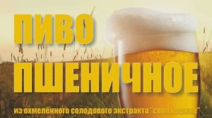 042_Пиво пшеничное из солодового экстракта.