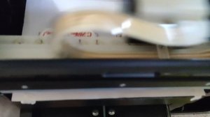 Печать на имбирных пряниках