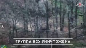 Уничтожение группы ВСУ в Гуляйполе