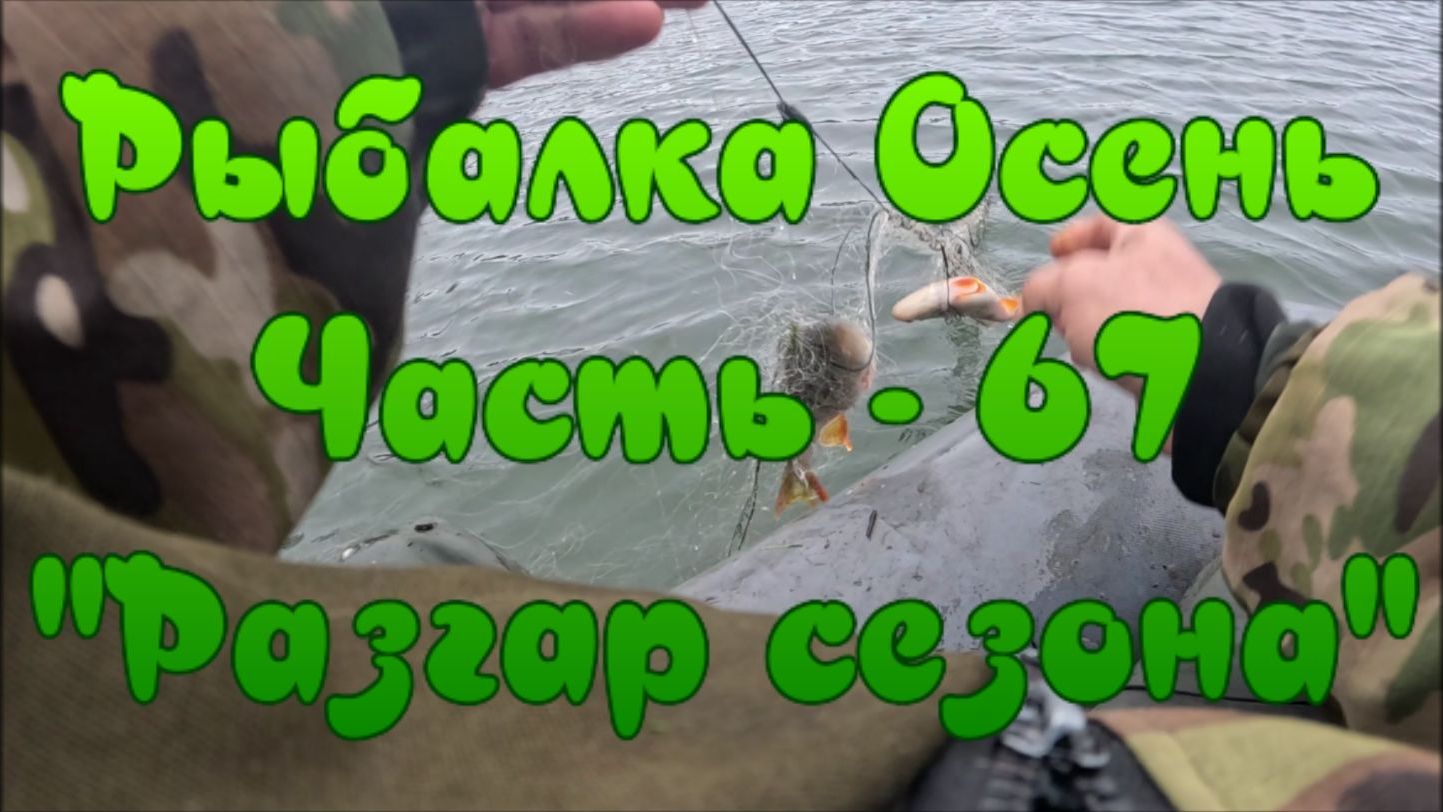 Рыбалка Осень. Часть - 67. "Разгар сезона". смотреть онлайн