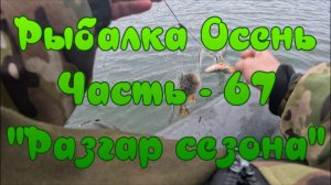 Рыбалка Осень. Часть - 67. "Разгар сезона".