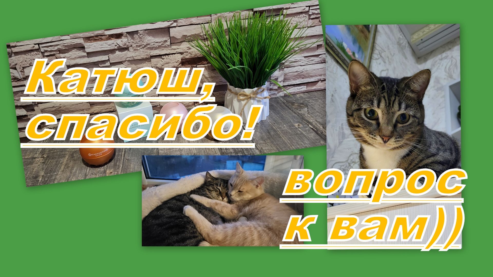 ВЛОГ: ПОДАРОК ОТ КАТЮШКИ! ВОПРОС ЭЙВОНЦАМ)) ИНТЕРЕСНЫЕ ПОКУПКИ... смотреть онлайн