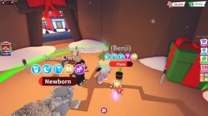 НОВОГОДНЕЕ ОБНОВЛЕНИЕ В АДОПТЕ!