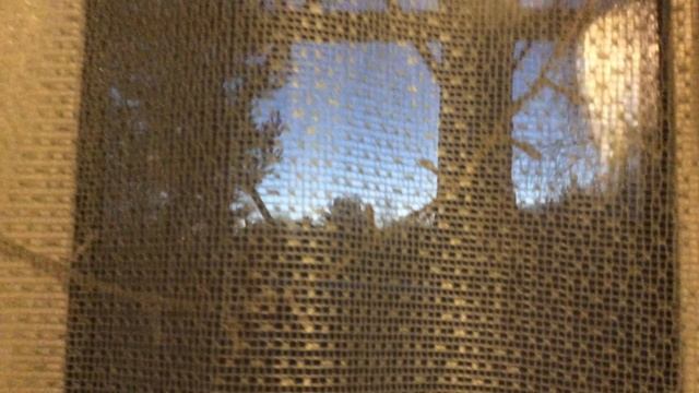 Погода у нас смотреть онлайн