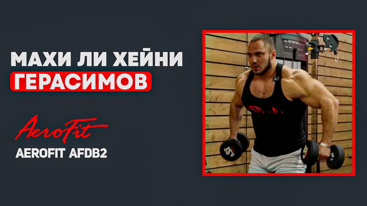 Задняя ДЕЛЬТА с Антоном Герасимовым Aerofit AFDB2 смотреть онлайн