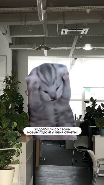 Рабочая обстановка на работе к середине декабря 😂😹 смотреть онлайн