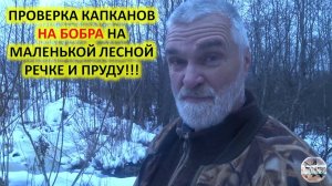 Охота на бобра с капканами. Проверка капканов на бобра