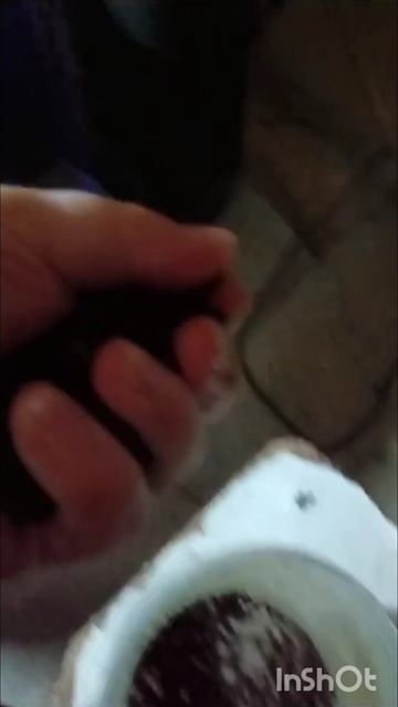 Рыбка растёт в домашних условиях хорошо. смотреть онлайн