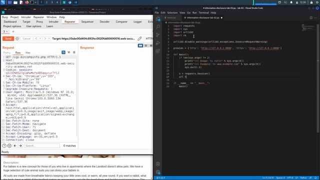 03. Lab 2 - Information disclosure on debug page смотреть онлайн