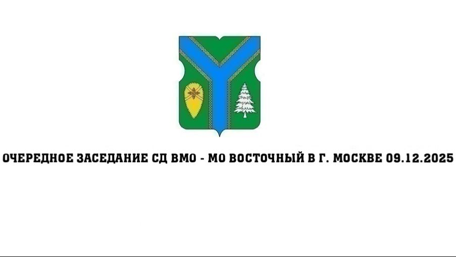 Очередное заседание СД ВМО-МО Восточный в г. Москве 09.12.2025