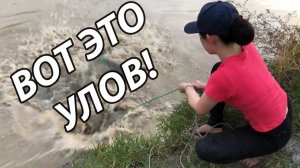 Кастинговая сеть ловит! Рыбалка на кастинговую сеть!