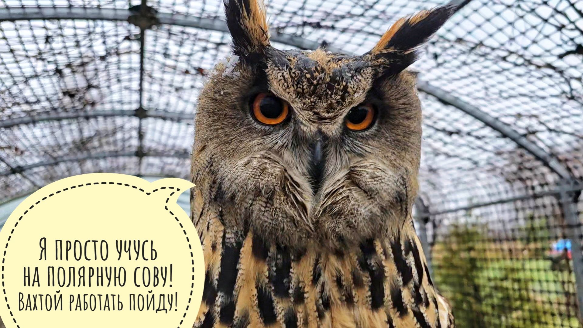 Ливень, снег, лёд, фура переехала нам электричество, интернета нет - ничего необычного, всё штатно смотреть онлайн