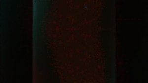 Продолжаю быть...Уже на площадках...