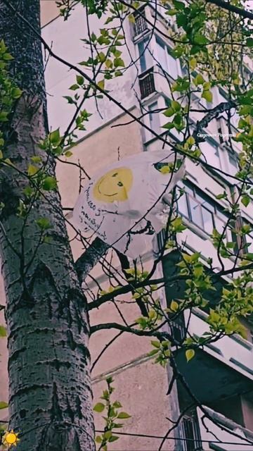 #смайлик #пакетик #живусюмором #напозитиве #прикол #моиэмоции #2024год смотреть онлайн