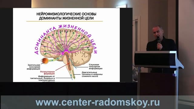 Доминанта жизненной цели: основа здоровья и долголетия
